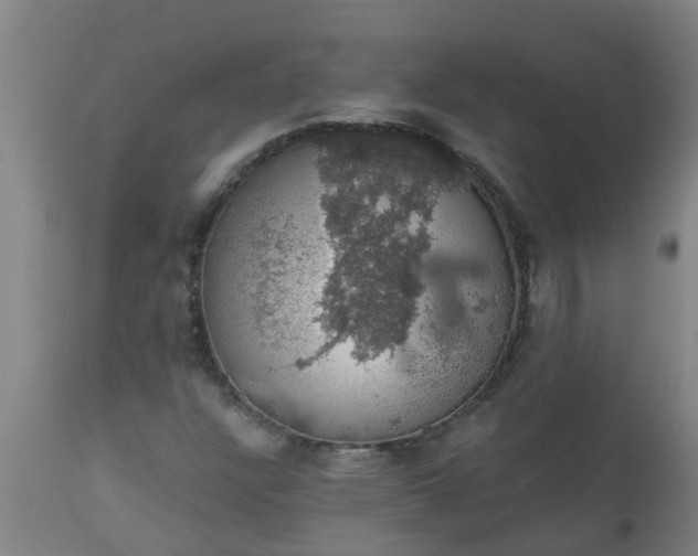 X0000112911304200909071525