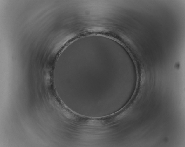 X0000112911305200909071525