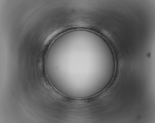 X0000112911307200909071525