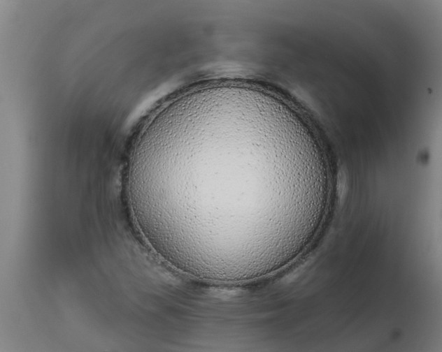 X0000112911309200909071525