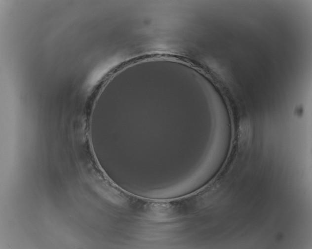 X0000112911310200909071525