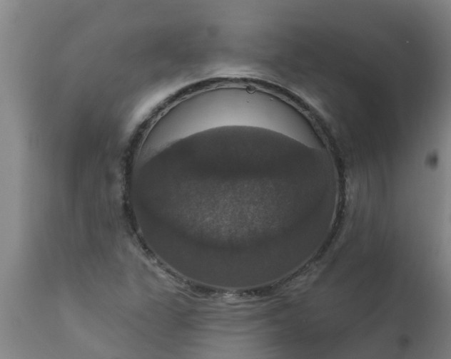 X0000112911311200909071525