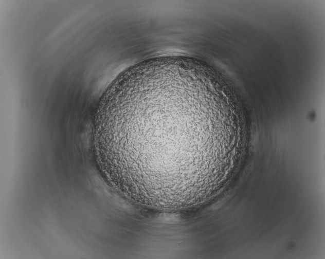 X0000112911313200909071525