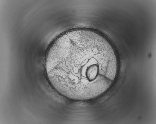 X0000112911314200909071525