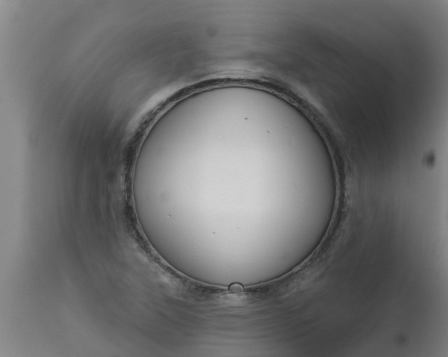 X0000112911315200909071525