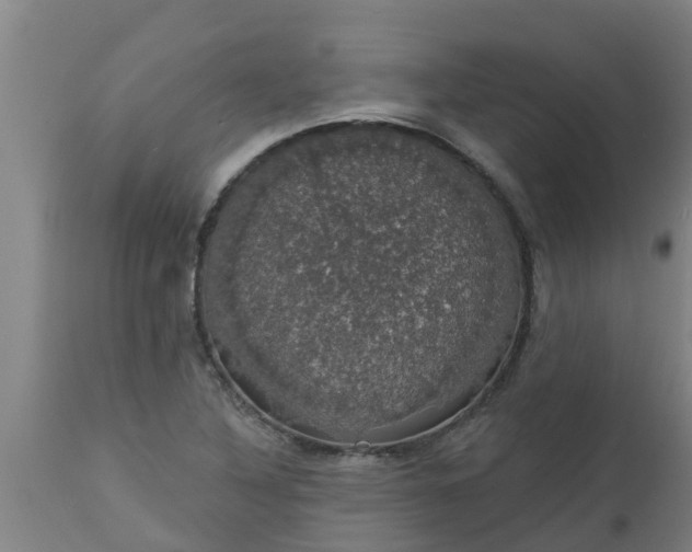 X0000112911316200909071525