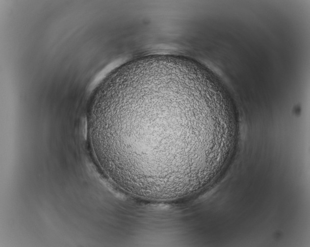 X0000112911317200909071525