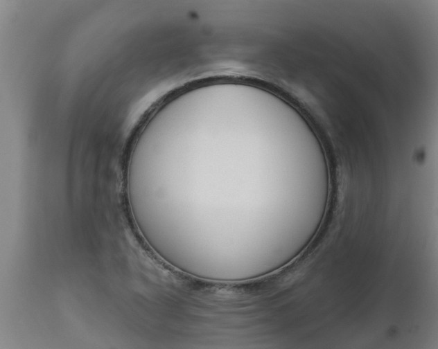 X0000112911318200909071525