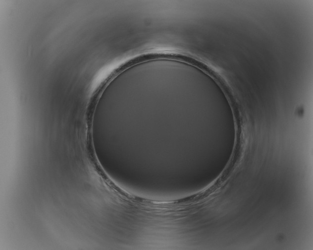 X0000112911319200909071525