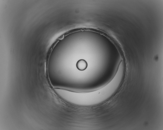 X0000112911320200909071525