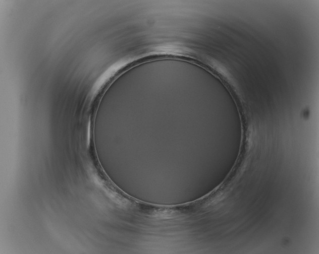 X0000112911323200909071525