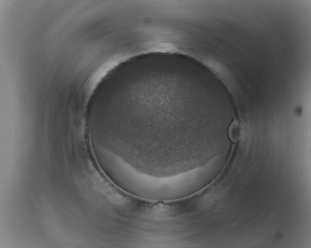 X0000112911326200909071525