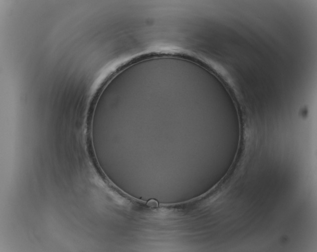 X0000112911327200909071525