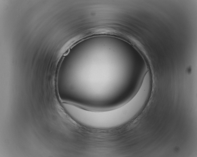 X0000112911330200909071525