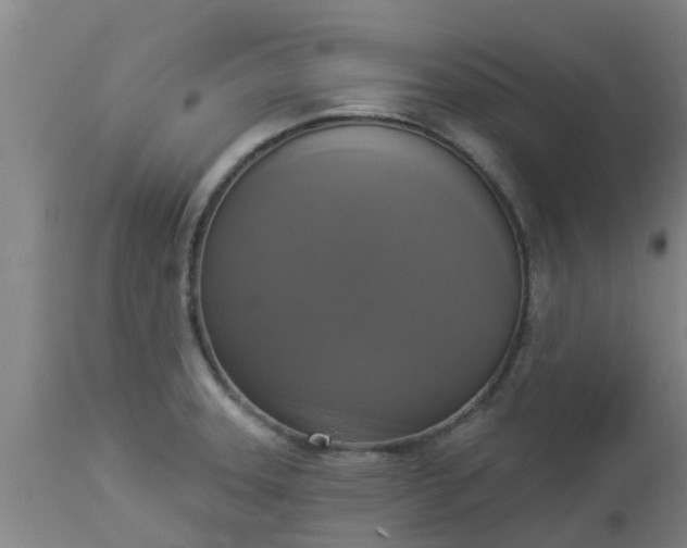 X0000112911331200909071525