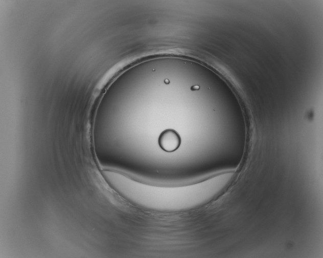 X0000112911332200909071525