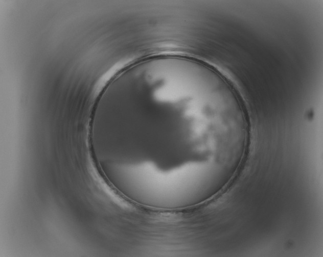 X0000112911333200909071525