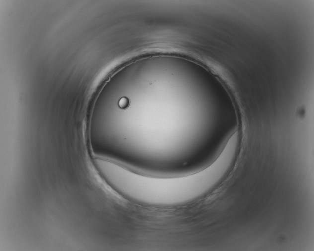 X0000112911334200909071526