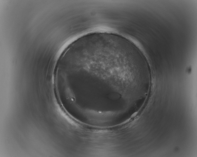 X0000112911335200909071526