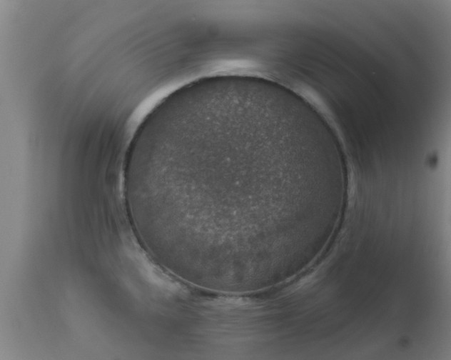 X0000112911336200909071526