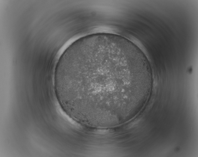 X0000112911339200909071526