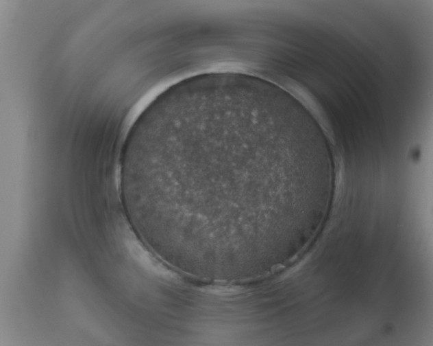 X0000112911340200909071526