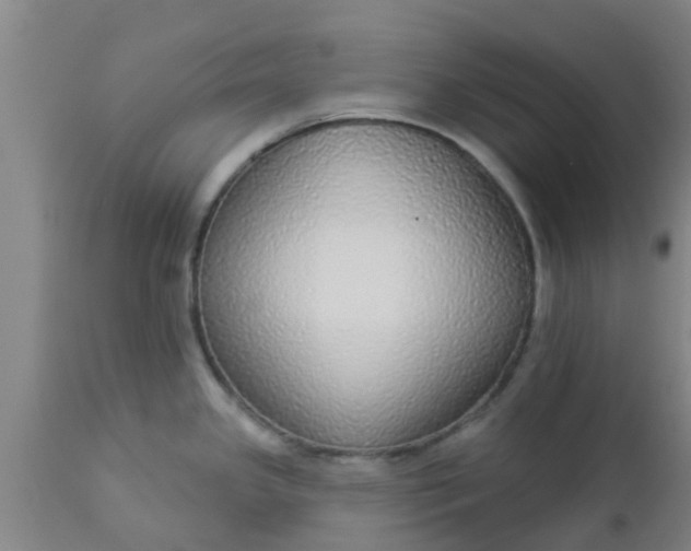 X0000112911341200909071526