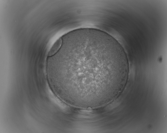 X0000112911342200909071526