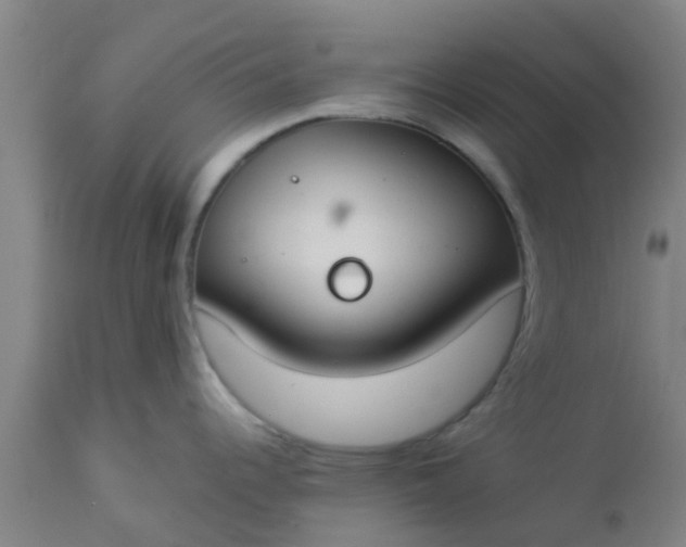 X0000112911344200909071526