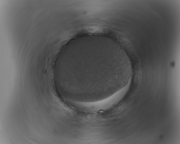 X0000112911345200909071525