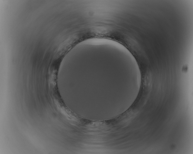 X0000112911346200909071525