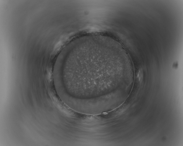 X0000112911348200909071525