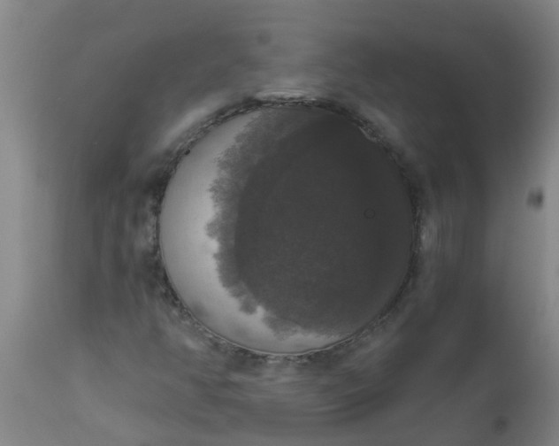 X0000112911350200909071525