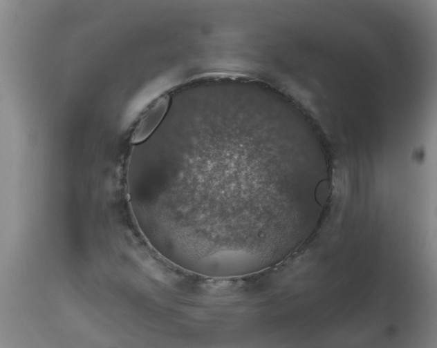 X0000112911352200909071525