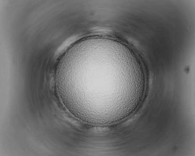 X0000112911354200909071525