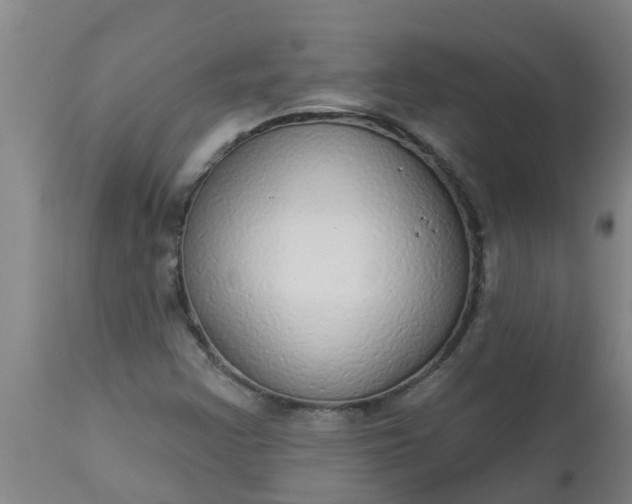 X0000112911355200909071525