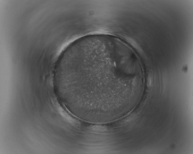 X0000112911356200909071525