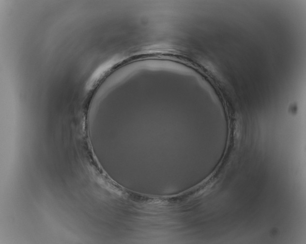 X0000112911358200909071525