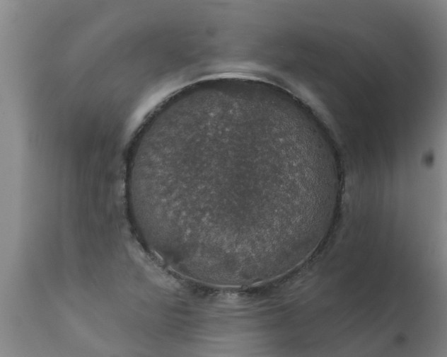 X0000112911360200909071525