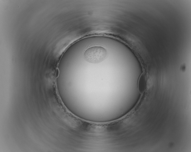 X0000112911361200909071525