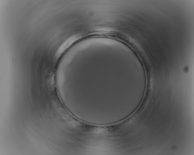 X0000112911362200909071525