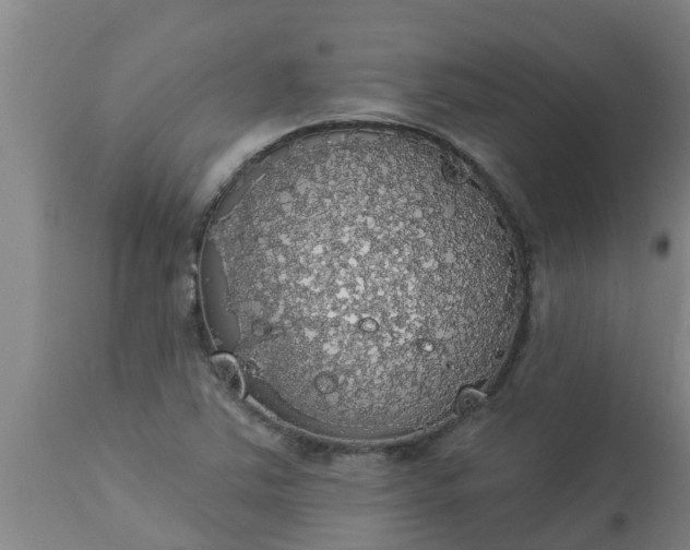 X0000112911363200909071525