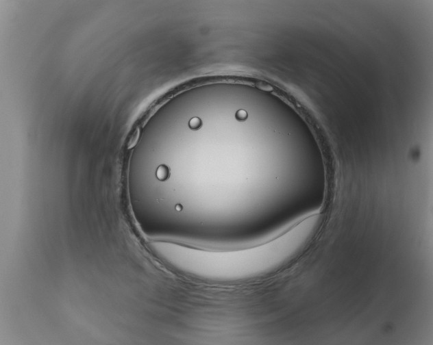 X0000112911364200909071525