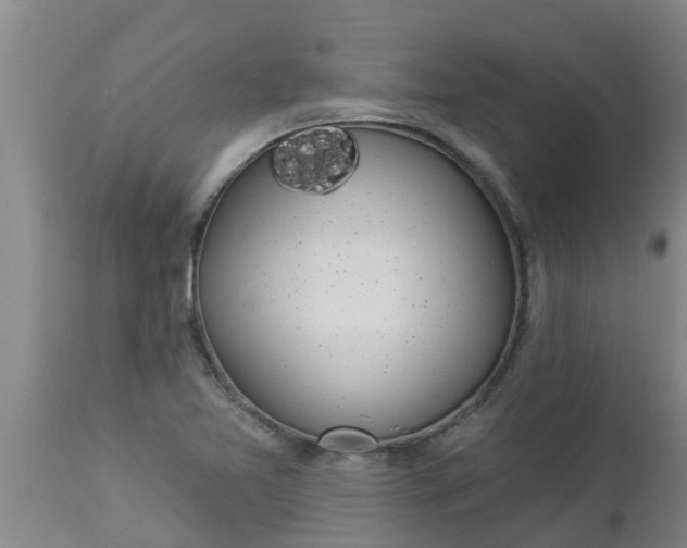 X0000112911365200909071525