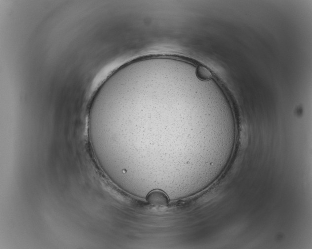 X0000112911366200909071525