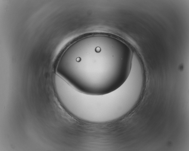 X0000112911368200909071525