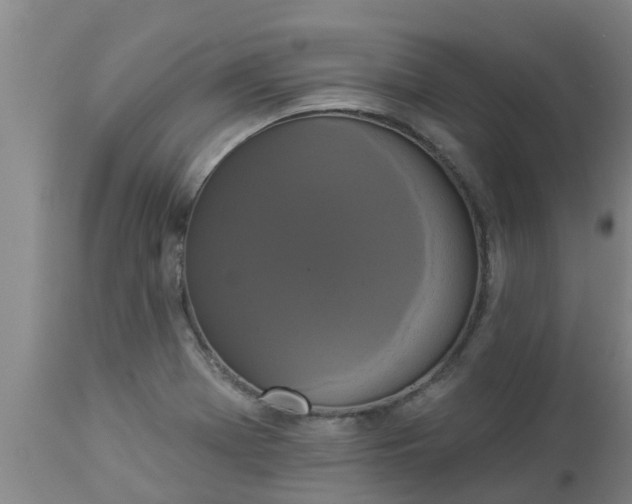 X0000112911369200909071524