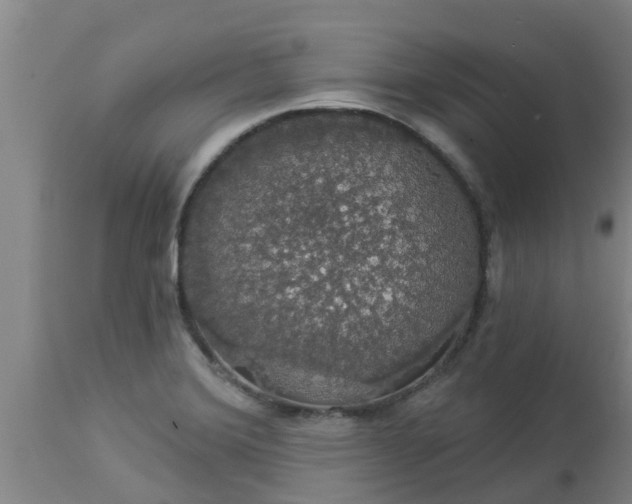 X0000112911372200909071524