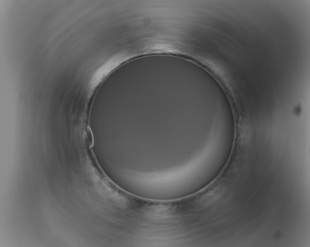 X0000112911373200909071524