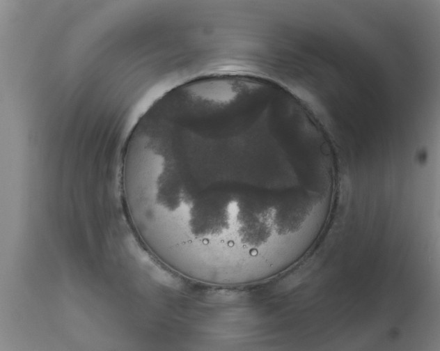 X0000112911374200909071524